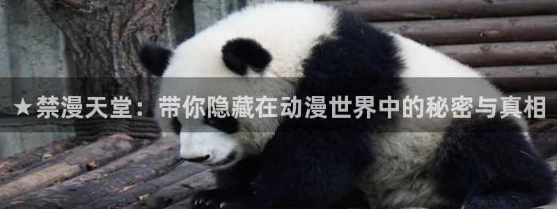 omofun全新版官网入口：★禁漫天堂：带你隐藏在动漫世界中的秘密与真相