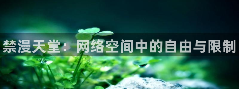 里番动漫进入ios：禁漫天堂：网络空间中的自由与限制
