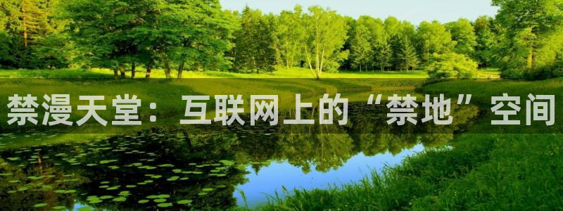 omofun官方网站进入：禁漫天堂：互联网上的“禁地”空间