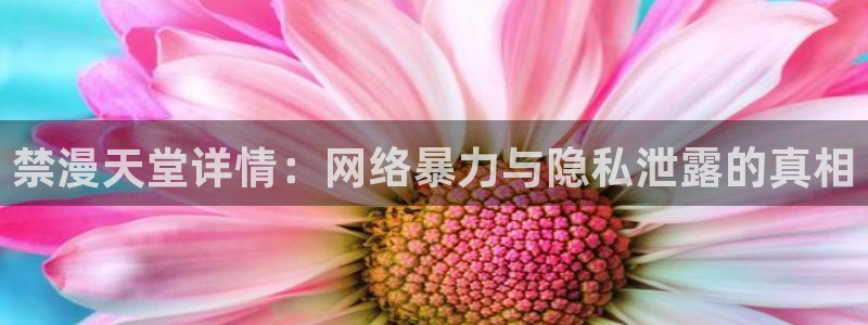 omofun下载ios苹果：禁漫天堂详情：网络暴力与隐私泄露的真相