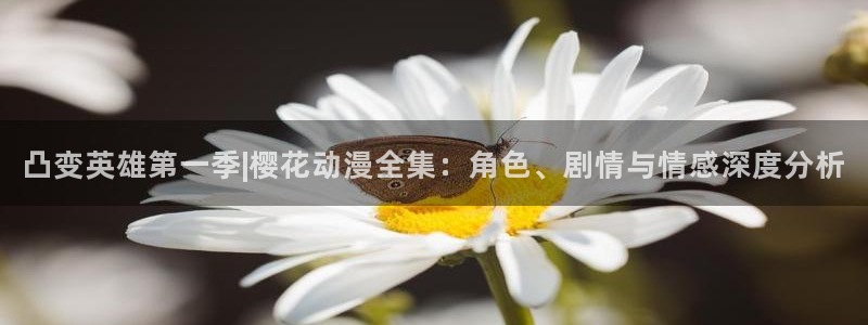 omofun网页入口：凸变英雄第一季|樱花动漫全集：角色、剧情与情感深度分析