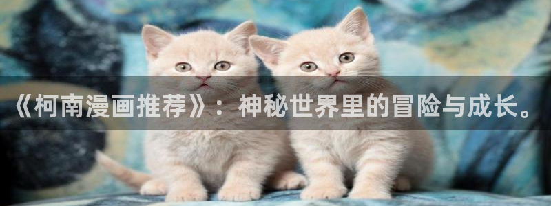o站(omofun)官网：《柯南漫画推荐》：神秘世界里的冒险与成长。