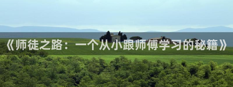 omofun完整版：《师徒之路：一个从小跟师傅学习的秘籍》