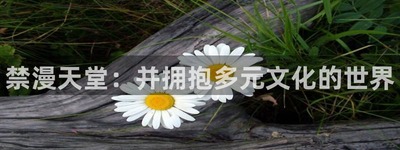 omofun动漫官网网址：禁漫天堂：并拥抱多元文化的世界
