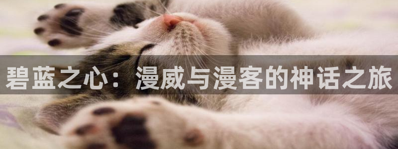 里番动漫网页版：碧蓝之心：漫威与漫客的神话之旅