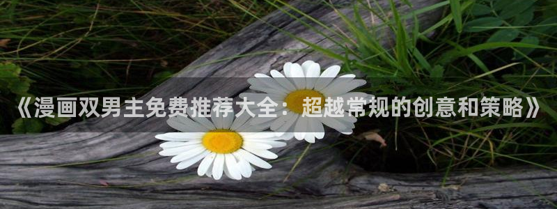 omofun自签：《漫画双男主免费推荐大全：超越常规的创意和策略》