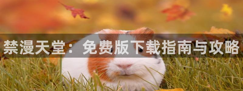 omofunapp：禁漫天堂：免费版下载指南与攻略
