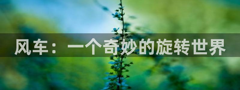 omofun缓存：风车：一个奇妙的旋转世界