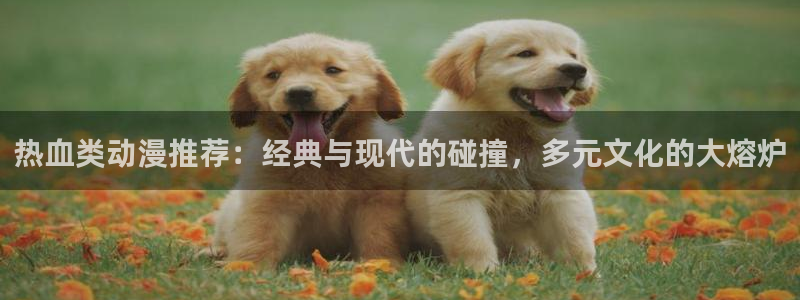 omofun动漫在哪下载：热血类动漫推荐：经典与现代的碰撞，多元文化的大熔炉