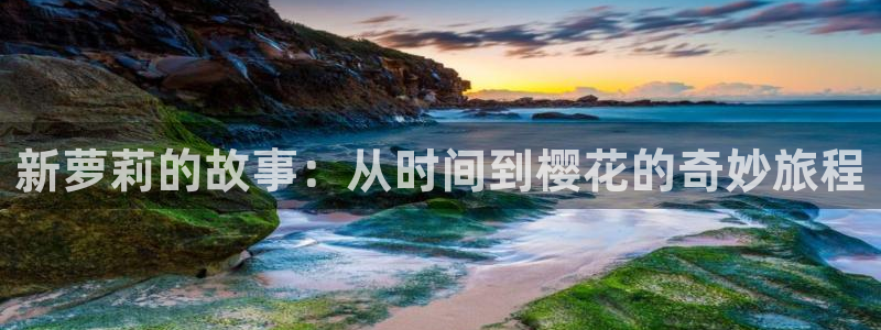 omofun电脑版：新萝莉的故事：从时间到樱花的奇妙旅程