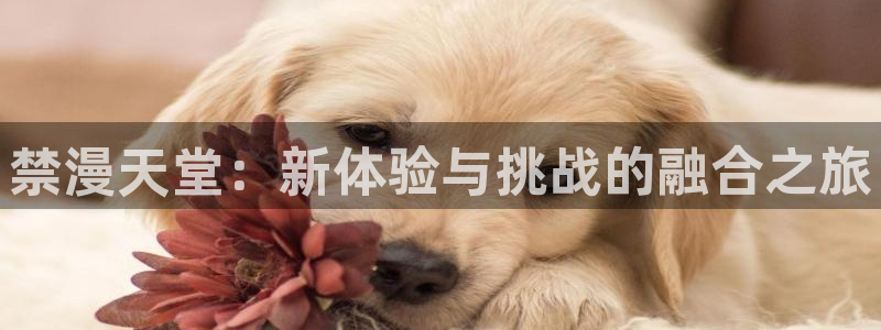 omofun/：禁漫天堂：新体验与挑战的融合之旅