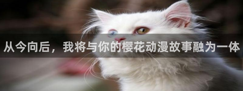 omofun正版app下载：从今向后，我将与你的樱花动漫故事融为一体