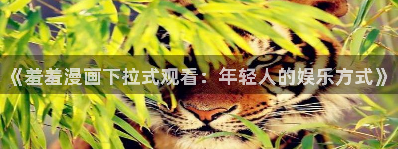 新版omofun下载：《羞羞漫画下拉式观看：年轻人的娱乐方式》