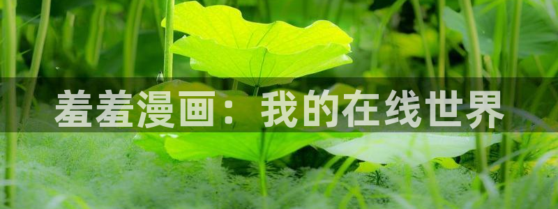 omofun动漫视频：羞羞漫画：我的在线世界