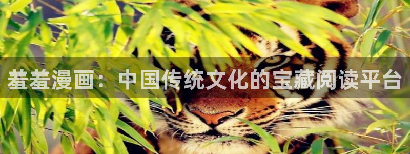 omofun官方网：羞羞漫画：中国传统文化的宝藏阅读平台