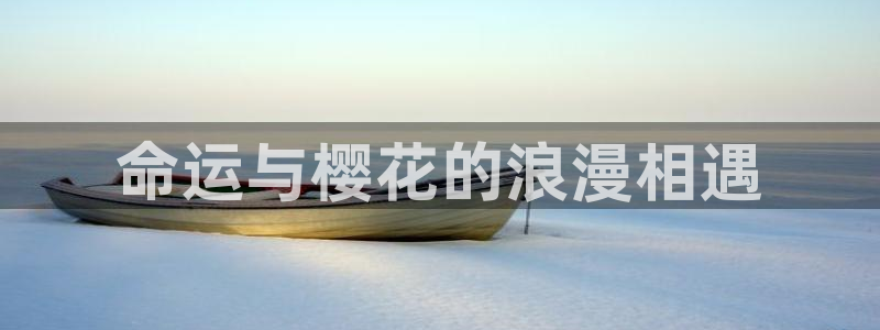 omofun在线：命运与樱花的浪漫相遇