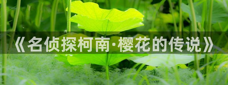 omofun网页版：《名侦探柯南·樱花的传说》