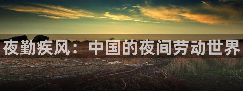 omofun网页版进入：夜勤疾风：中国的夜间劳动世界