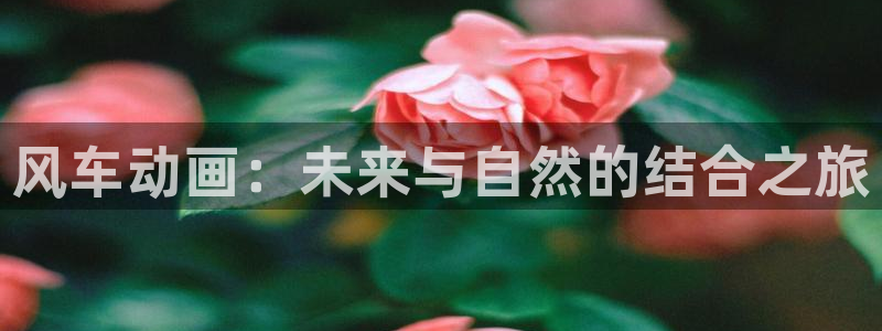 omofun. t：风车动画：未来与自然的结合之旅
